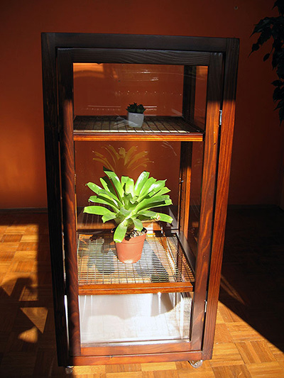 plastenik za kuću u kome mogu da se gaje biljke,cvece,začinsko bilje
